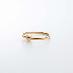 Alternative view of Anello Cher